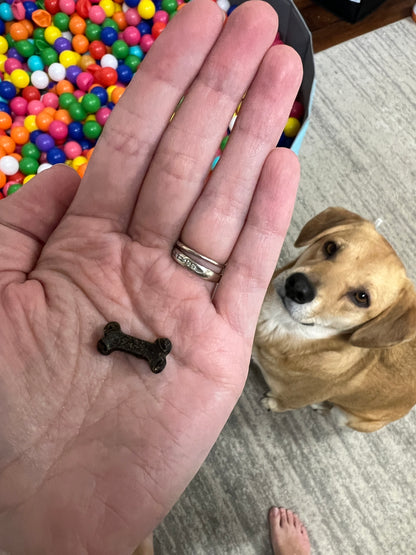 Dehydrated Treats